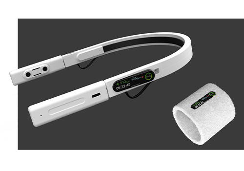 Design Awards Winner - Georgia Institute of Technology - Fit U