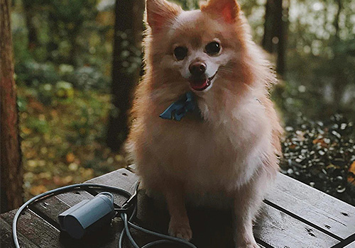 Design Awards Winner - Doris Dev, Fable, Friends Of - Waste Bag Holder