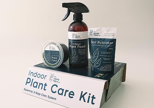 Design Awards Winner - Cameron Snelgar Product, Package & Graphic Design - Indoor Plant Care Kit