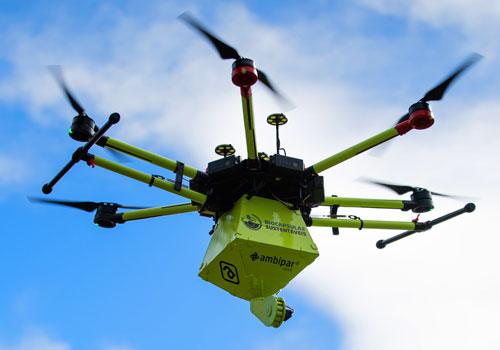 Design Awards Winner - Ambipar RD Research and Development Ltd. - Sustainable Biocapsules - Transforming Waste into Trees