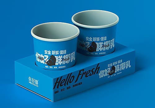 Design Awards Winner - Hefei CHUNJIAODU Brand Consultant Co.,Ltd. - HELLO COCO Fresh Coconut Milk