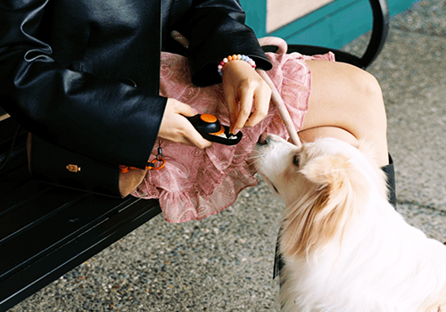 Design Awards Winner - Clink Design Inc. - Clink Clicker