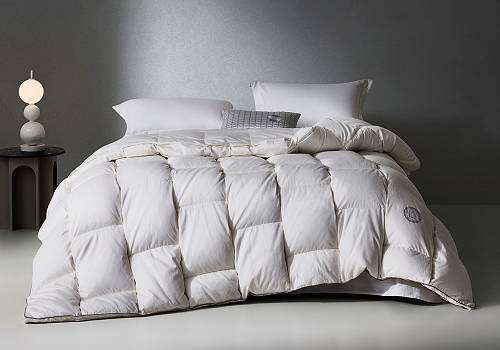 Design Awards Winner - Luolai Lifestyle Technology Co., Ltd - Super soft infinity warm neck goose down comforter