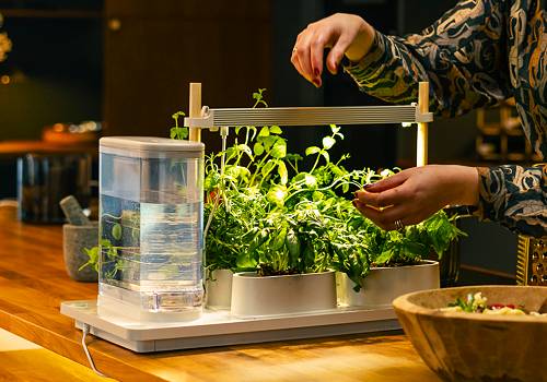 Design Awards Winner - Auk - Auk, The Revolutionary New Indoor Smart Garden