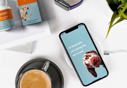 Design Awards Winner - Gaoyang Wu - Smartails