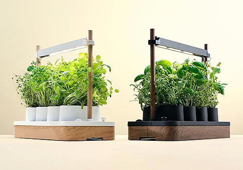 Design Awards Winner - Auk Eco AS - Auk Mini