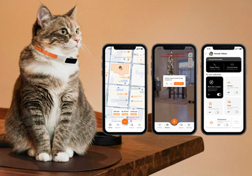 Design Awards Winner - Mengqi Li, Yu Zhuang, Ai-Hsin Liu - CatGuardia