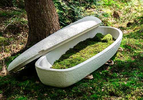 Design Awards Winner - Loop Biotech - The World’s First Mushroom Coffin 