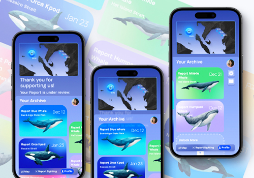 Design Awards Winner - Zhijun Song/ Yinan Chen - Whale Trails: AI-Powered Whale Sightings
