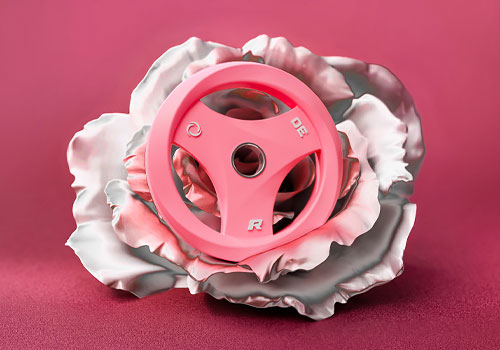 Design Awards Winner - RITFIT Japan Inc. - AURASPIN Weight Plates