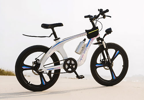 Design Awards Winner - Hebei sky king Bicycle Technology Co., Ltd. - Magnesium God - Cheetah