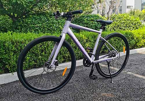 Design Awards Winner - Hebei sky king Bicycle Technology Co., Ltd. - Gazelle Racer 