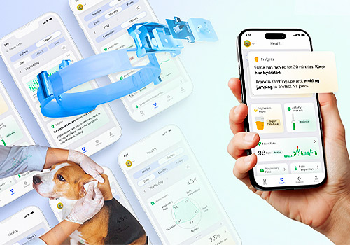 Design Awards Winner - CayKnight.AI - CayKnight.AI: Smart Care for Dogs