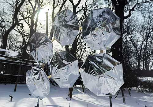 Design Awards Winner - Ruilin Mao - Lost Focus