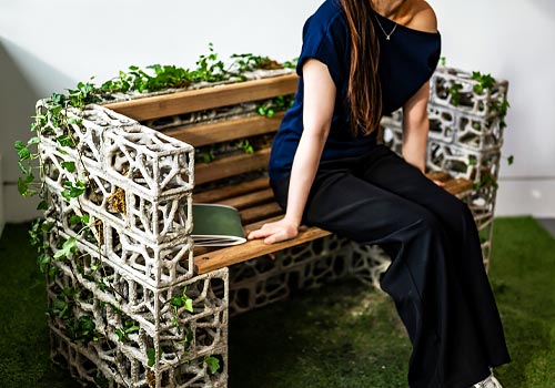 Design Awards Winner - Royal College of Art - PhytoSymbiosis Seat
