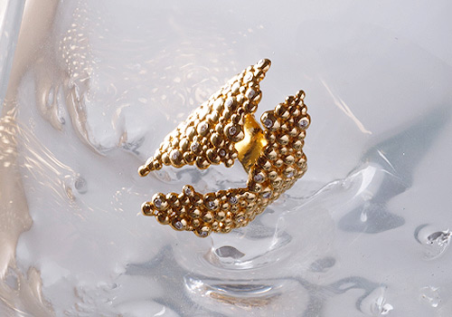 Design Awards Winner - Vivil Guimarães - Embrião Ring
