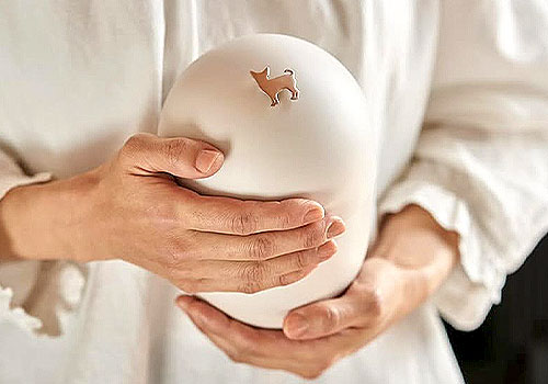 Design Awards Winner - Dainichido Inc. - An Memorial Capsule