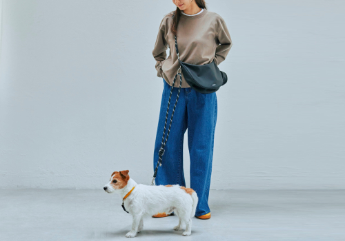 Design Awards Winner - GRIT INC - WAGY